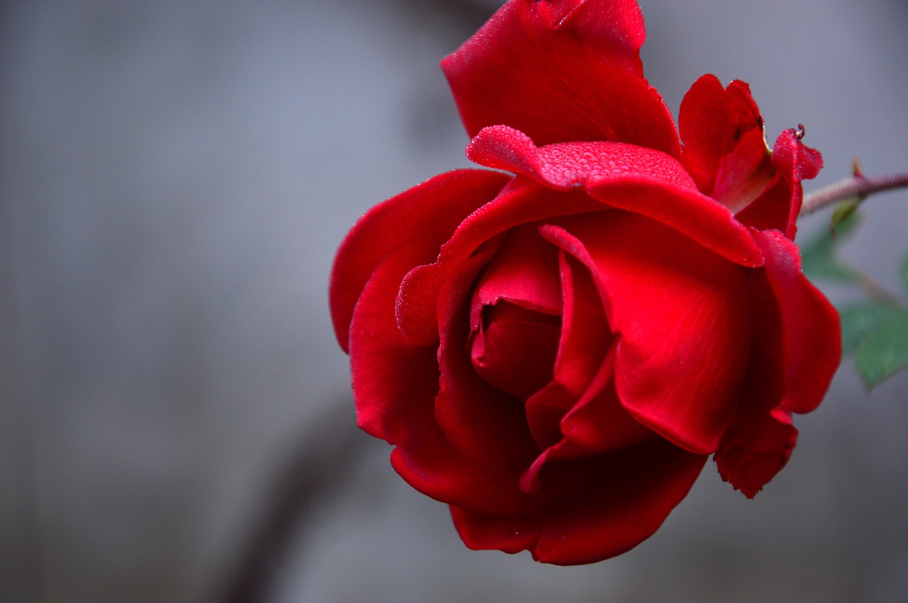 バラナシ 観光（Pixabay / Peggychoucair）