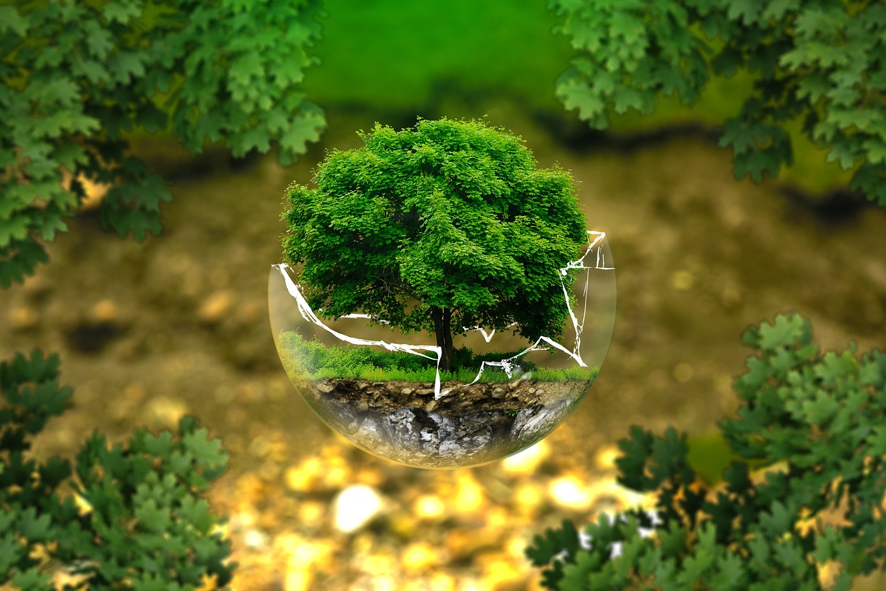 ワディ・ラム保護区（Pixabay / AndreasAux）
