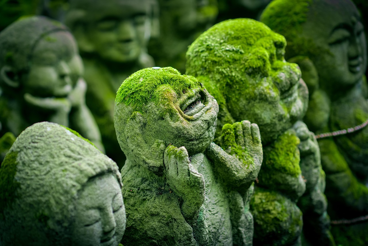 京都市外の世界遺産
